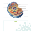 Experience Biology Student Guidebook - Image 5