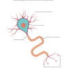 Experience Biology Student Guidebook - Image 7