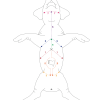 Experience Biology Student Lab Guide - Image 14