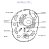 Experience Biology Student Adventure Guide - Image 6