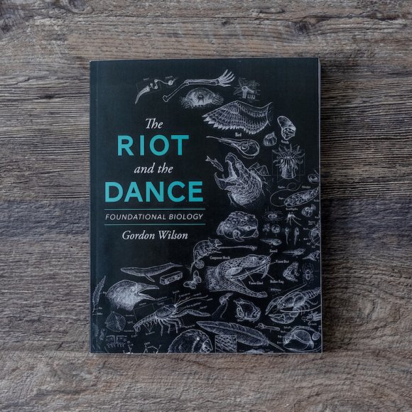 The Riot and the Dance (Textbook)