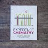 Experience Chemistry Student Lab Guide - Image 2