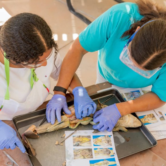 Biology Lab Kit from HST